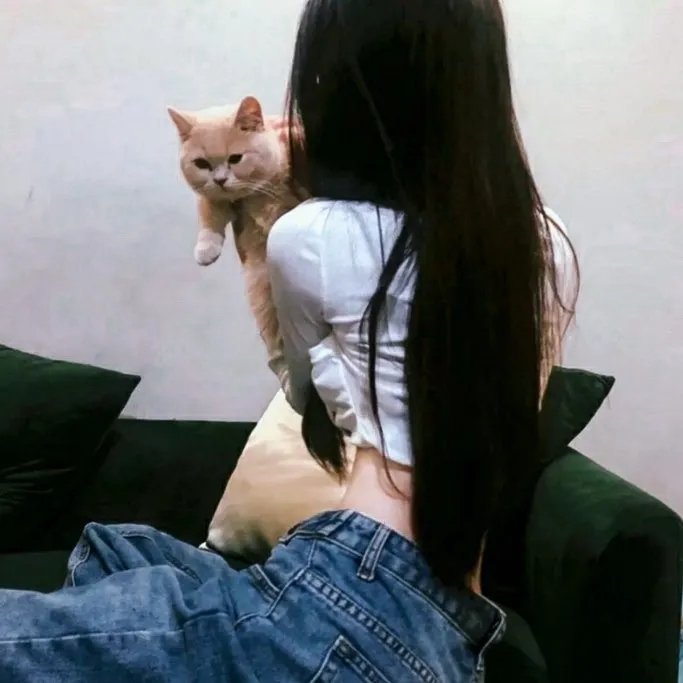 紫宅